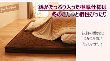 こたつに使える。
